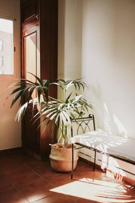 Apartamento De La Candelaria I Santa Cruz de Tenerife Ngoại thất bức ảnh